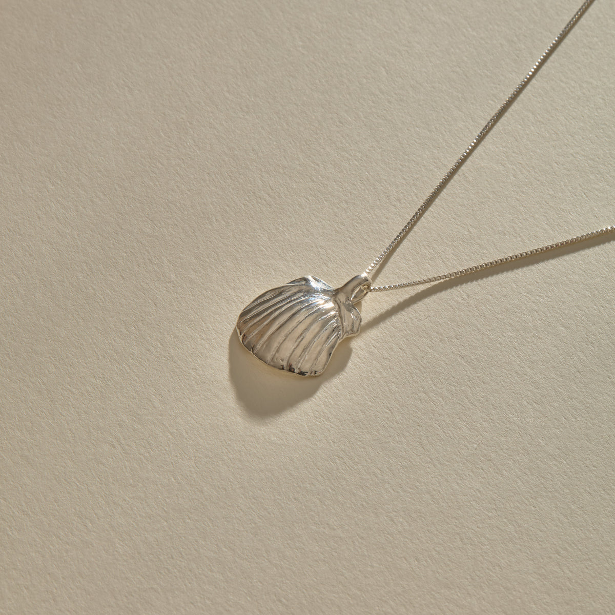 Elysian Shell Necklace | Silver
