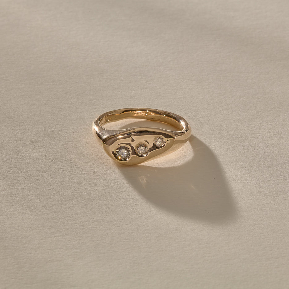 Collection Image
