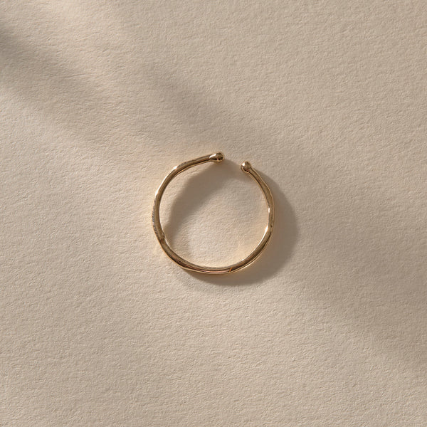 Image without description.