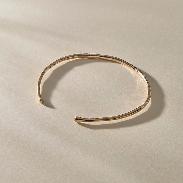 The Bronze Bone Collar
