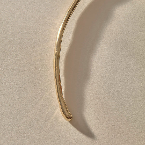 The Bronze Bone Collar