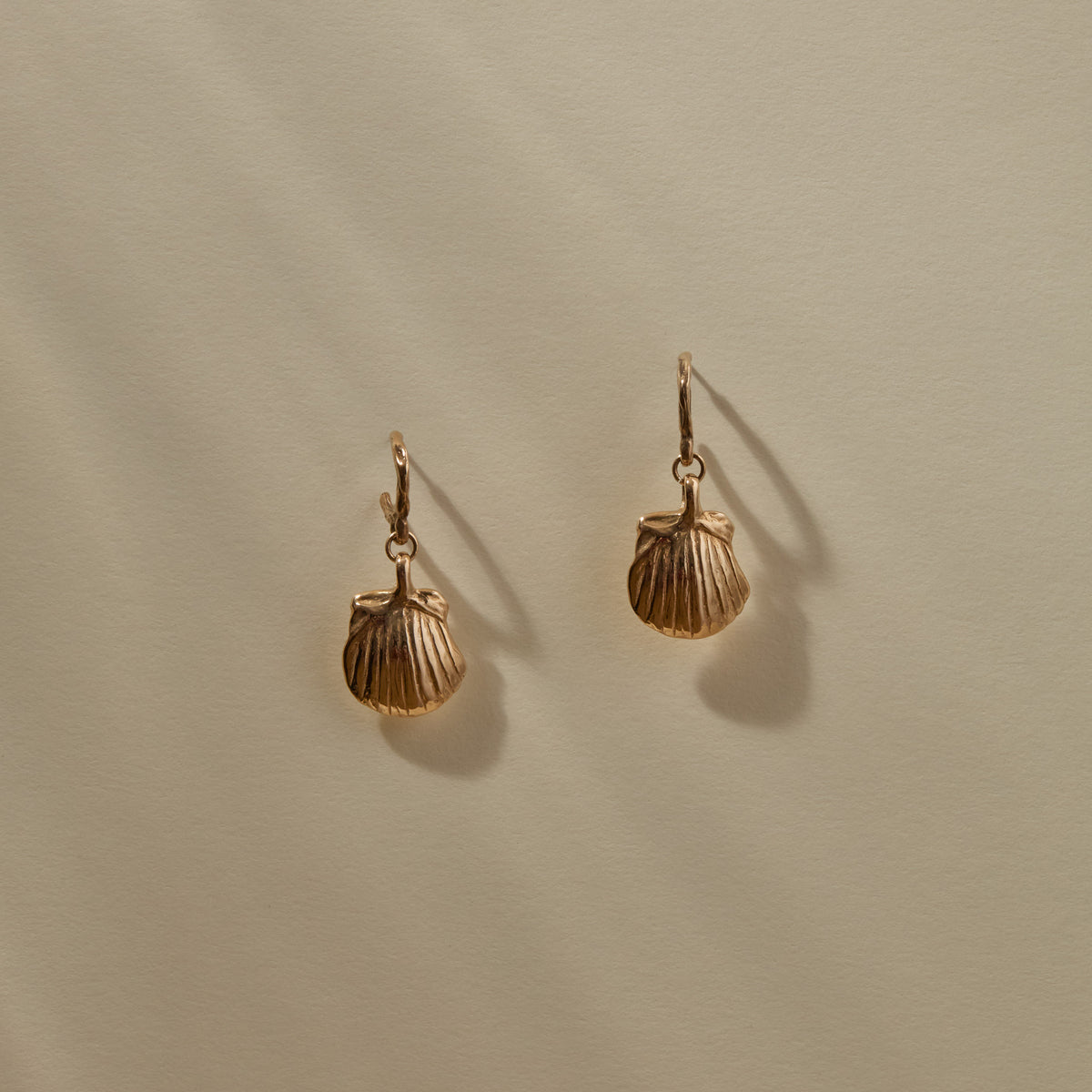 Elysian Shell Hoops | Bronze
