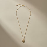 Elysian Shell Necklace | Gold