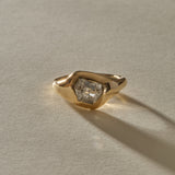 Vía Láctea I Polished Raw Salt and Pepper Diamond Signet Ring | Gold | OOAK