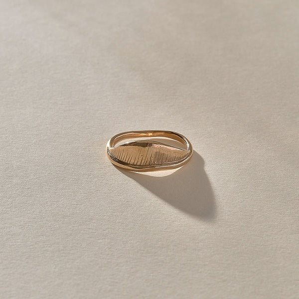 The Bronze Devotions Ring