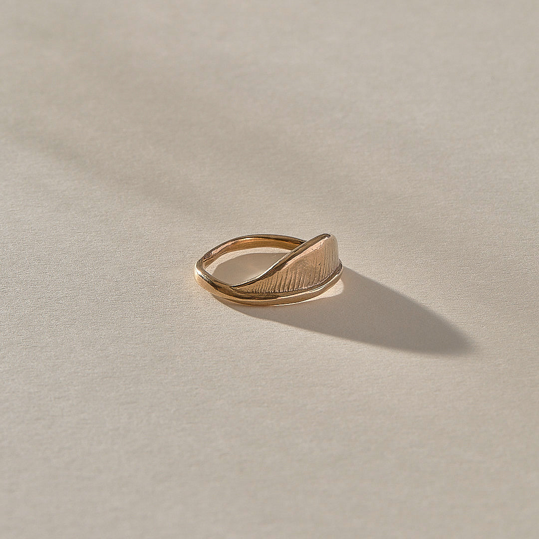 The Bronze Devotions Ring