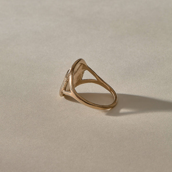 The Bronze Scarab Ring
