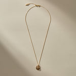 Full length of the Elysian Shell Necklace in bronze on its adjustable box chain.