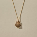Elysian Shell Necklace in bronze, the ribbed scallop shell pendant laid flat.