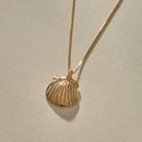Elysian Shell Necklace in recycled bronze, a cast scallop shell pendant on a fine box chain.