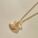 Elysian Shell Necklace in solid recycled gold, a cast scallop shell pendant on a fine gold chain.