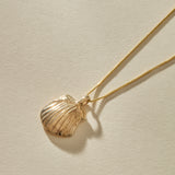 Elysian Shell Necklace in solid recycled gold, a cast scallop shell pendant on a fine gold chain.