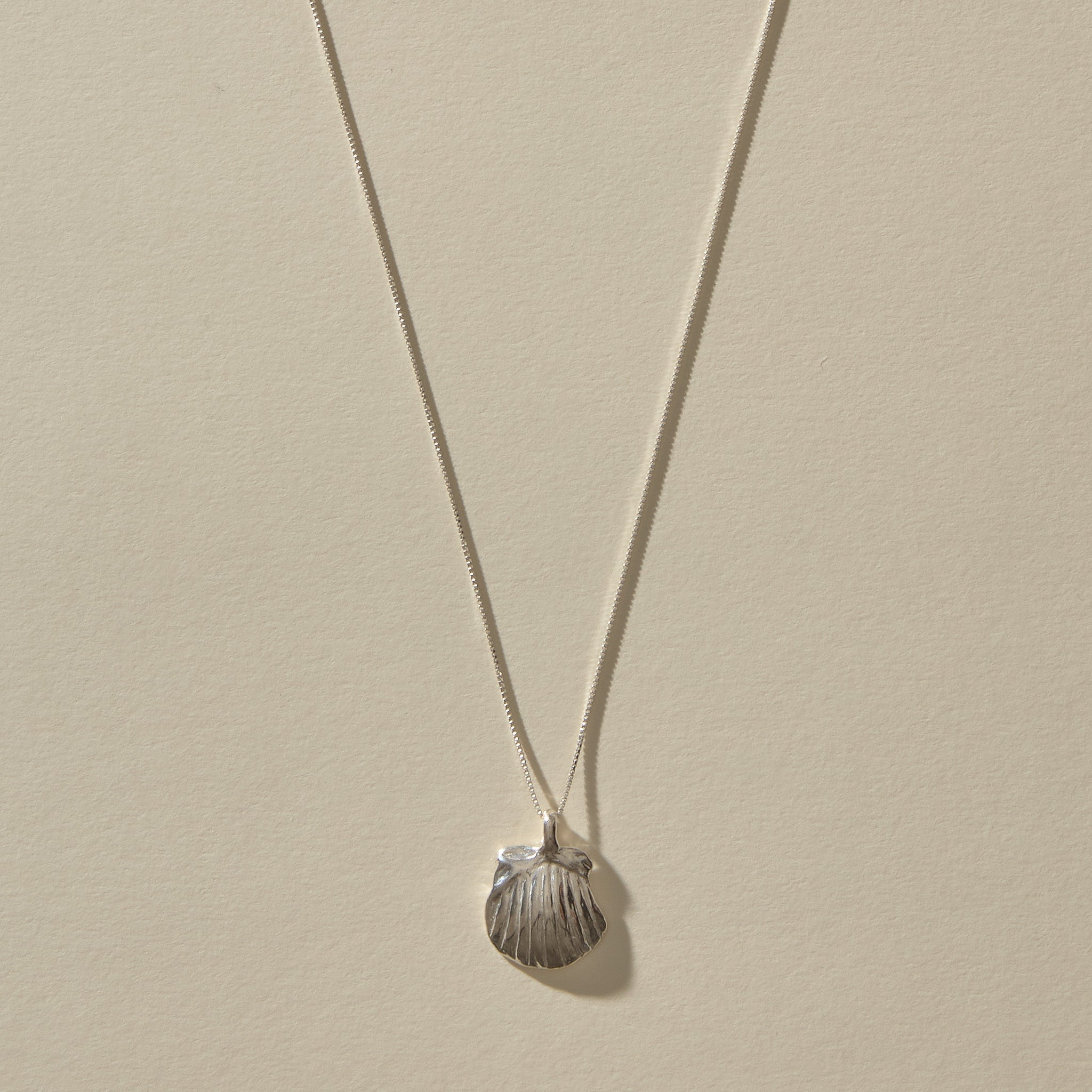 Elysian Shell Necklace in sterling silver, the scallop shell pendant hanging from its box chain.