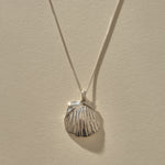 Elysian Shell Necklace in recycled sterling silver, a cast scallop shell pendant on a fine box chain.