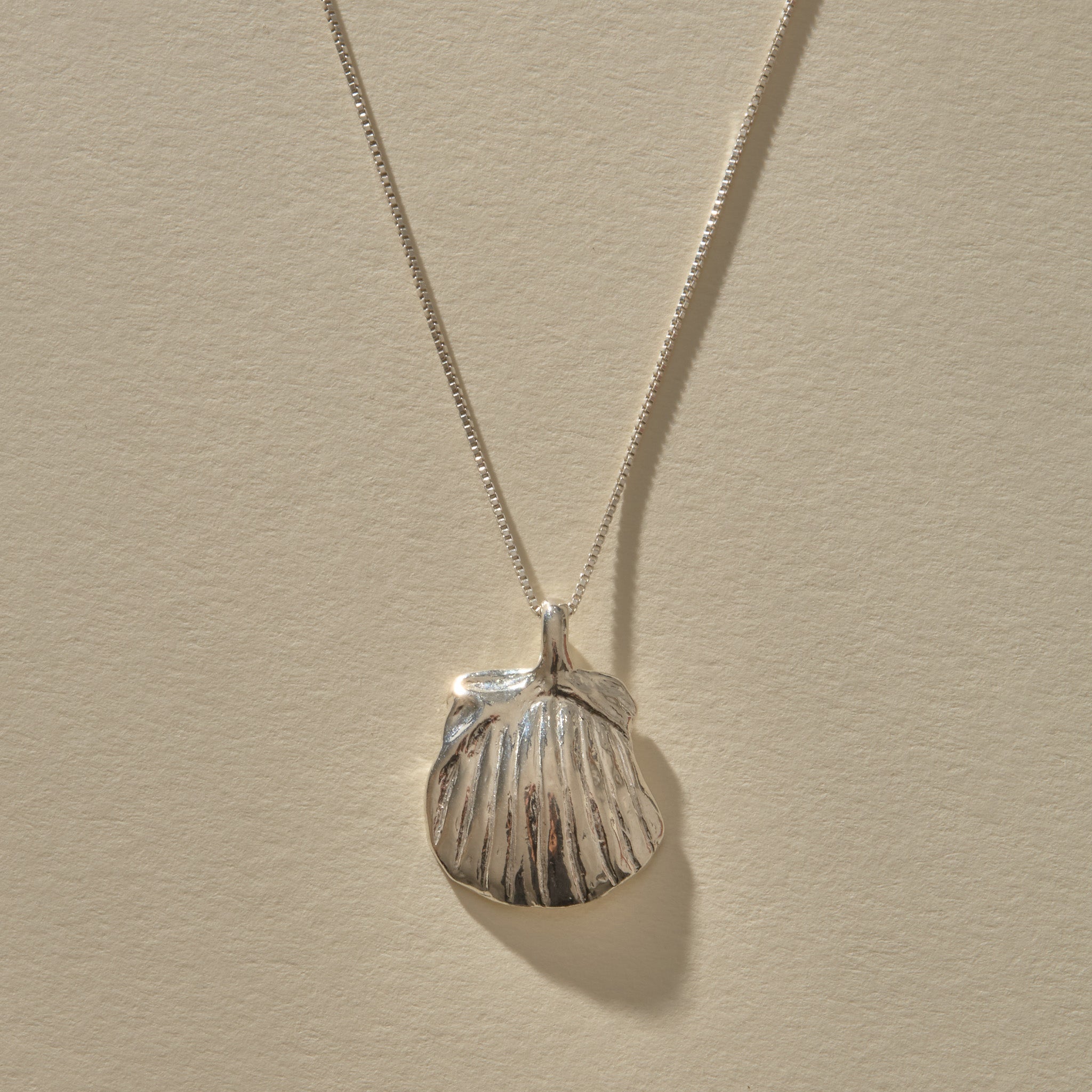 Elysian Shell Necklace in recycled sterling silver, a cast scallop shell pendant on a fine box chain.