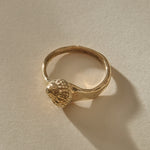 Maré Shell Ring in gold at an angle, showing the textured shell and hand-formed band.