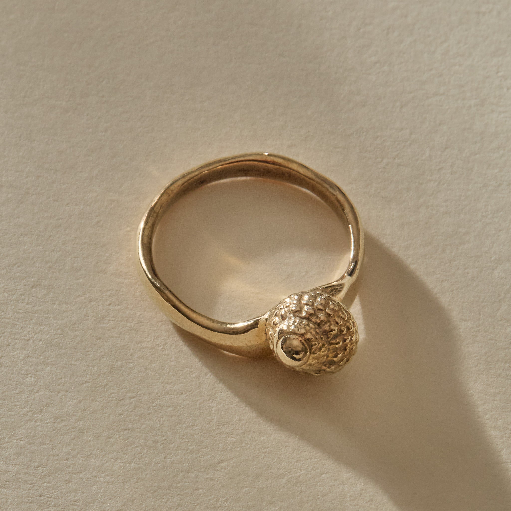 Maré Shell Ring in gold from above, the shell’s spiral opening sitting low on the band.