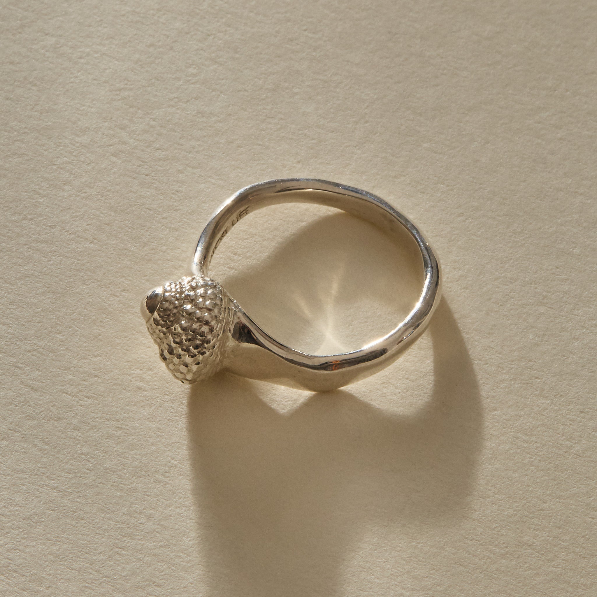 Maré Shell Ring in sterling silver from a low angle, showing the shell and the curve of the band.