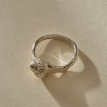 Maré Shell Ring in sterling silver from the front, the shell's spiral opening sitting low on the band.