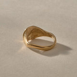 Neptune Spiral Shell Ring in gold from the back, showing the smooth tapered band.