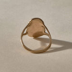 Scarab Ring in recycled bronze, back view