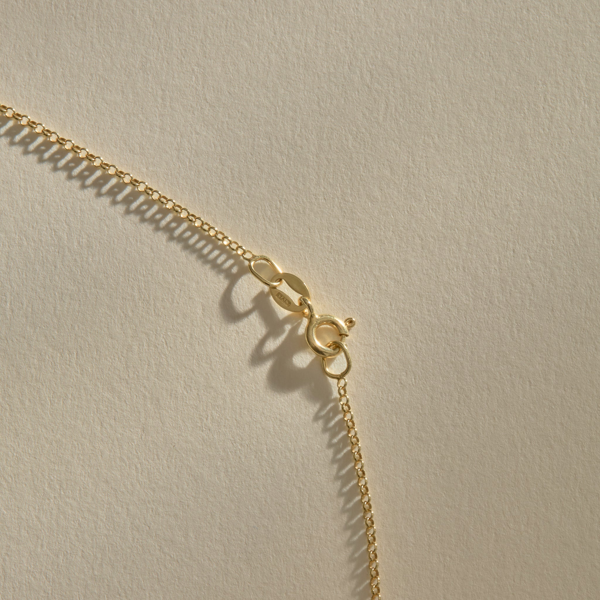 Full length of the Sereia Spiral Shell Necklace in gold on its 20 inch chain.