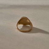 Wild Rose Ring in recycled bronze, back view of the signet