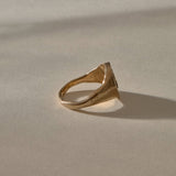 Wild Rose Ring in recycled bronze, side view of the band tapering to 2mm